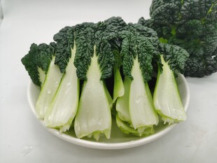 黑青菜 泡泡青