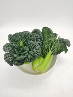 黑青菜 泡泡青