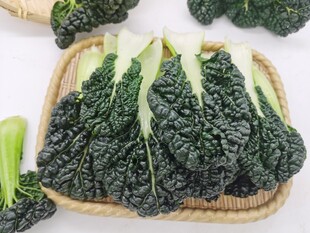 黑青菜 泡泡青