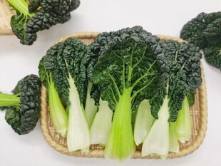 黑青菜 泡泡青