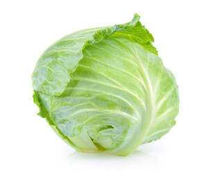 包菜