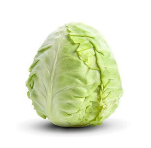 包菜