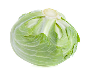 包菜