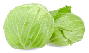 包菜