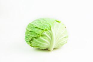 包菜