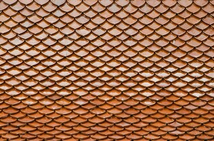 蛇纹蛇皮鱼鳞皮革服装高清素材图