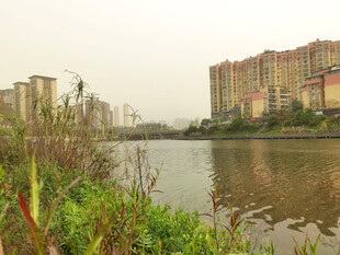 河岸