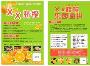 脐橙宣传单
