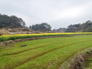 田园风光摄影