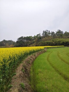 田园美景摄影