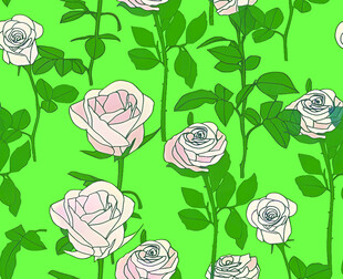 绿色背景上的简约白玫瑰