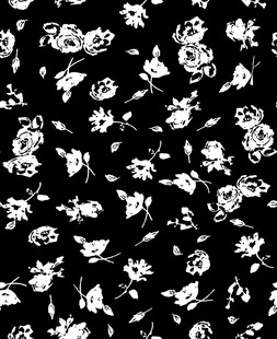 黑白玫瑰花卉图案背景