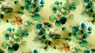 中式花鸟图案精美织物