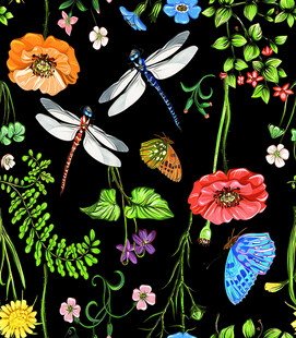 黑色背景上的多彩昆虫花卉