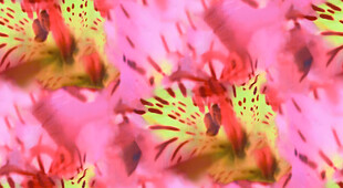 粉色花卉抽象图案纹理