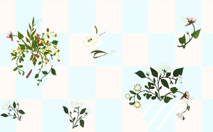 清新植物图案设计素材