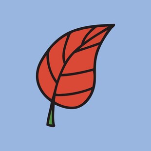 红色叶片插画