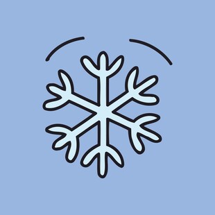 简约雪花图标