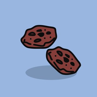 两块卡通巧克力饼干
