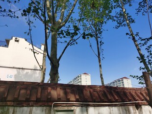 红顶建筑