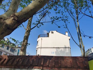 树下白屋