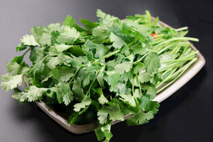 香菜