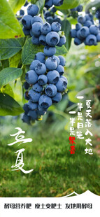立夏