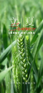 立夏