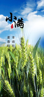 小满