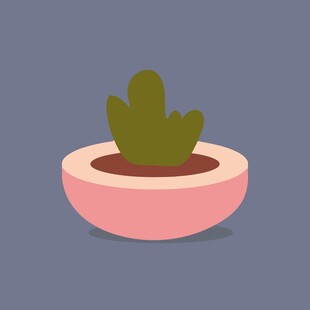 粉色花盆中的绿色仙人掌