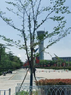 公园高塔