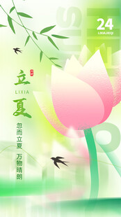 夏日荷花立夏至