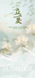 夏日荷花主题清新风页面