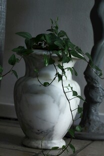 白色花瓶