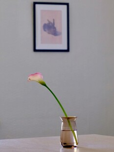 简约花瓶中绽放的粉色花朵