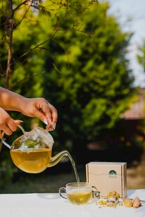 户外优雅的茶饮冲泡时刻