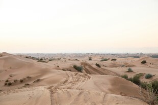 沙漠风光