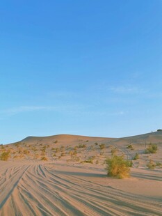 沙漠风光