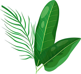 清新绿色植物叶片插画
