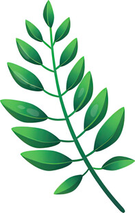 翠绿叶片植物枝桠