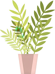 简约盆栽绿植插画