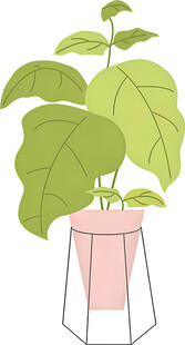 粉色花盆中的绿植