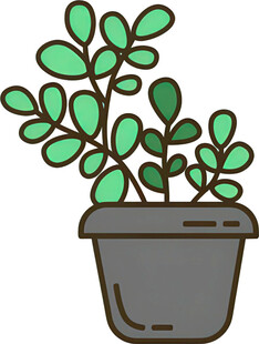 盆栽绿植插画
