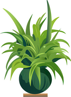 绿色盆栽植物插画展示