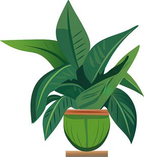 绿色盆栽植物插画