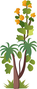 热带植物景观插画