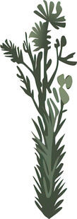 手绘绿色植物枝叶插画