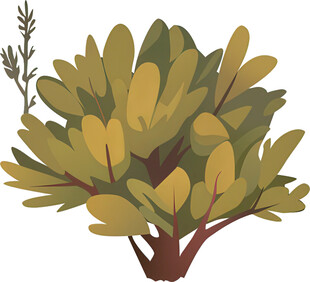 茂盛绿植插画