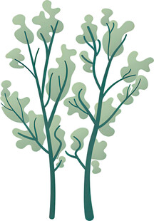 双枝绿植插画
