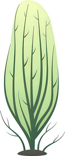 绿色植物插画